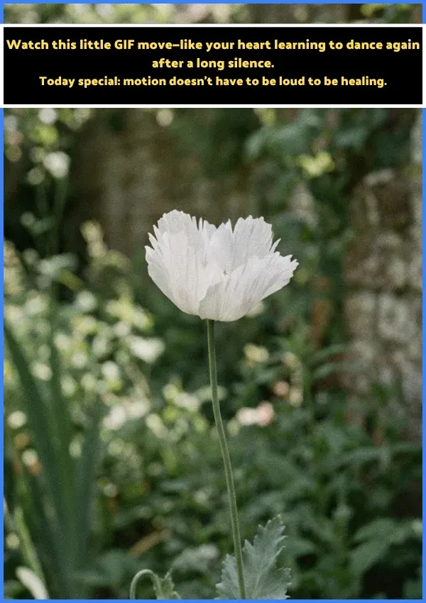 Today Special Good Morning Images Gif Today Special Good Morning Images Gif